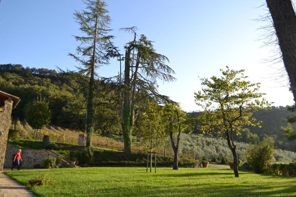 Agriturismo Lapone Villa Orvieto Exterior photo